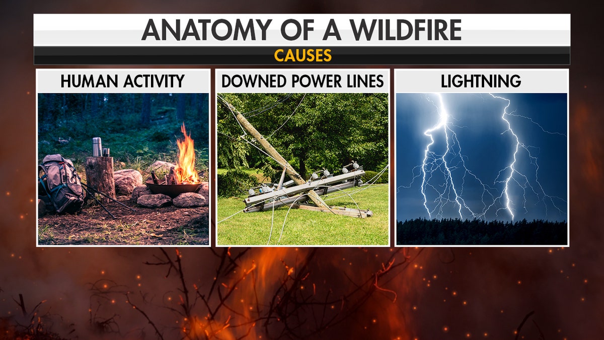 Causes of wildfires. (Fox News)