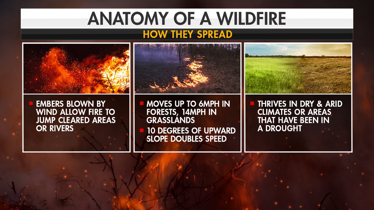 How wildfires spread. (Fox News)