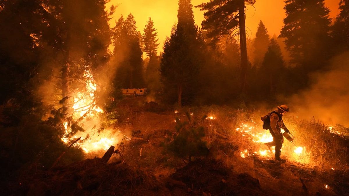 FILE - In this Sept. 6, 2020, file photo, firefighter Ricardo Gomez, of a San Benito Monterey Cal Fire crew, sets a controlled burn with a drip torch while fighting the Creek Fire in Shaver Lake, Calif. Two unusual weather phenomena combined to create some of the most destructive wildfires the West Coast states have seen in modern times. (AP Photo/Marcio Jose Sanchez, File)