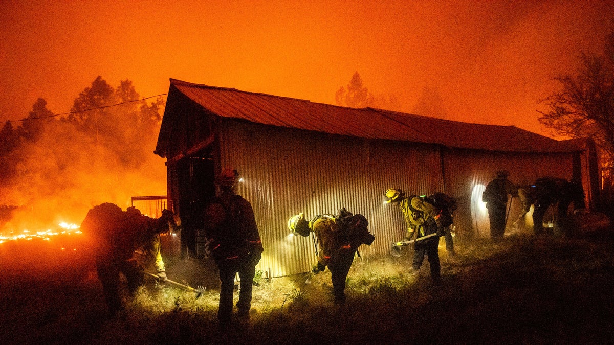 A hand crew clears vegetation from around a barn as the Bear Fire -- which is now part of the North Complex fire -- burns through the Berry Creek area of Butte County, Calif., on Wednesday. (AP)