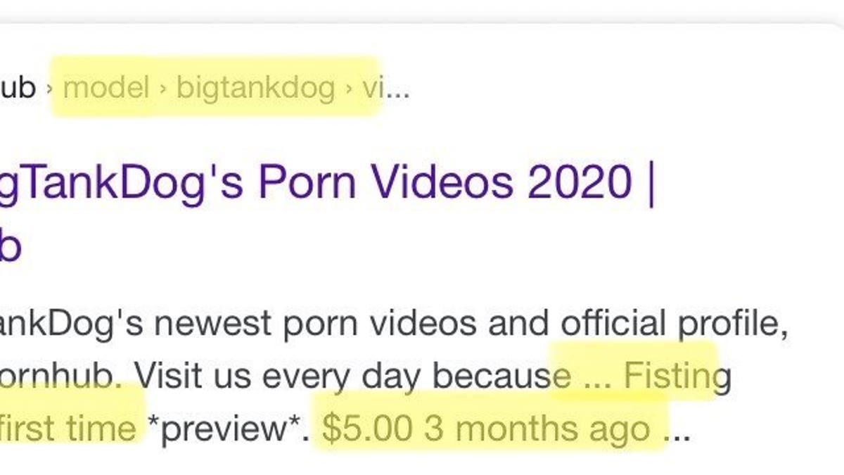 Search screenshot shows BigTankDog's Pornhub profile with monetized content (Credit: Exodus Cry)