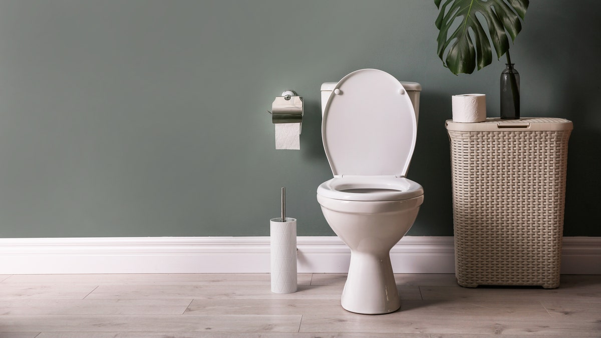 Toilet time: Is your mobile device affecting how long you're in
