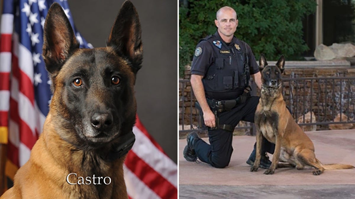 K-9 Castro served on the force for six years with his handler Officer Blackwell.