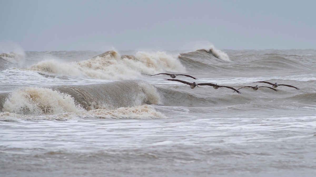 A squadron of pelicans navigates through the rough surf on Crystal Beach in the Bolivar Peninsula, Texas, on Sunday, Sept. 20, 2020.