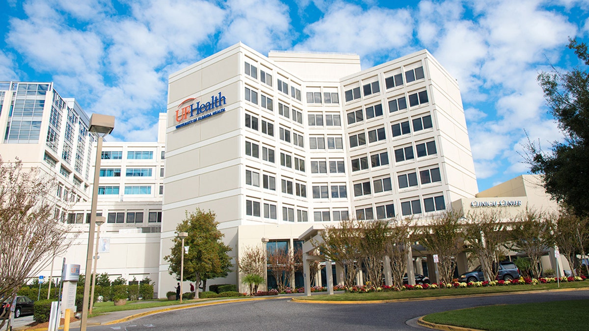 Researchers at the University of Florida are studying a trio of antiviral drugs as a potential treatment against COVID-19.
