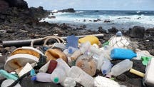 53 trillion tons of plastic in Earth's waterways by 2030, researchers warn