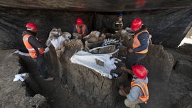 'Mammoth central' found at Mexico airport construction site