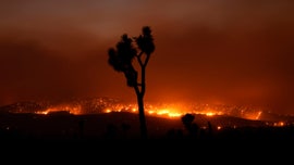 Bobcat Fire in California becomes one of largest in Los Angeles County history, whips up 'smokenado'