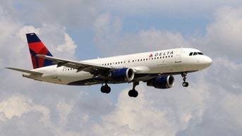 Fireworks mortar strikes Delta jet during holiday descent into major airport - Fox News