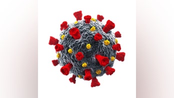 Coronavirus may help researchers in fighting cancer, according to scientist