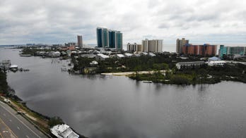 Alabama woman attacked by bees after tree collapses through her bedroom: report