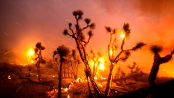 Homes destroyed after winds push California fire into desert