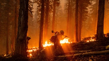 Firefighter dies in California's El Dorado wildfire sparked by gender-reveal party