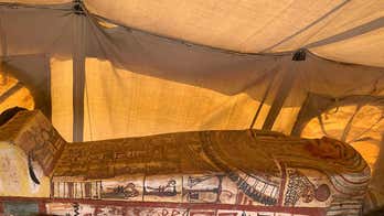 More than two dozen 2,500-year-old sarcophagi discovered at ancient site in Egypt