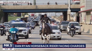 Chicago's 'Dreadhead Cowboy' arrested after riding a horse on expressway: cops