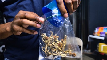 Detroit residents voting on whether to decriminalize 'magic mushrooms' and other psychedelic drugs