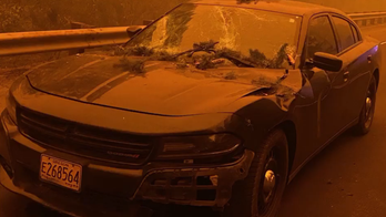 Oregon wildfires cause fire-damaged tree to fall on state trooper's vehicle
