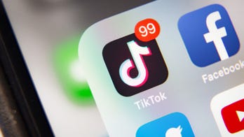 Skimpy 'Banned App' TikTok-inspired Halloween costume debuts