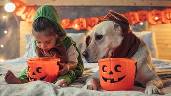 Hershey's launches Halloween resource, maps out safe counties for trick-or-treating
