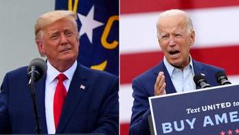 Biden leads Trump in Florida, North Carolina, Wisconsin: polls