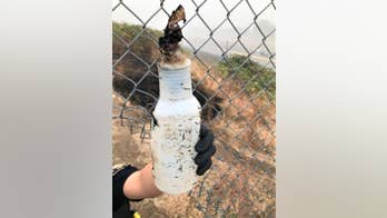 Portland cops: Man started small brush fire with Molotov cocktail