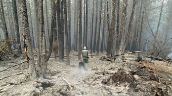 Oregon sheriff deputies make 21 arrests in wildfire evacuation zones