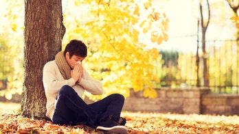 What to know about fall allergies and how to treat them