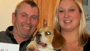 Woman drops 97 pounds, becomes bodybuilder after finding she was too out of shape to walk her dog