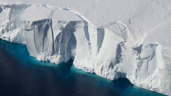 Melting Antarctic ice will raise sea levels and might cause humanity to 'give up ... New York'