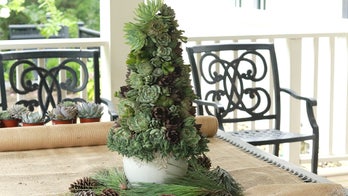 Succulent Christmas 'trees' are trending this holiday season