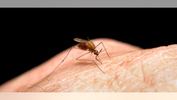 Idaho reports first human West Nile cases of the year