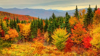 2020 US fall foliage prediction map shows where, when leaves are expected to change