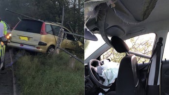 Driver survives as pole impales car during crash