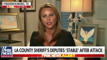 Lara Logan: Protesters shouting for ambushed police to die are ‘trained professional agitators’