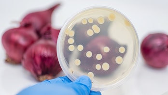 Salmonella outbreak linked to onions sickens more than 1,000 people: CDC