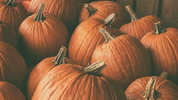 Utah pumpkin growers break record with 8 gourds over 1,000 pounds