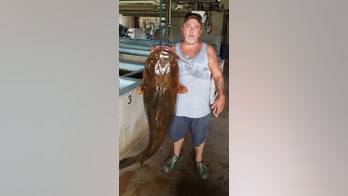 Florida fisherman hooks state record with 70-pound catfish: 'I was in the right place at the right time'