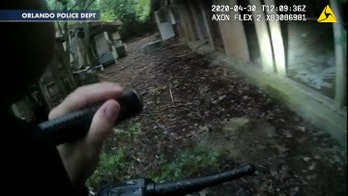 Florida sheriff's office releases footage from manhunt for suspected Disney island trespasser