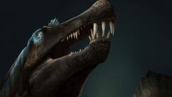 'Jurassic Park' dinosaur was a 'river monster,' new study says