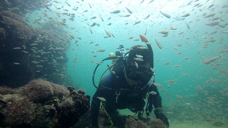 19th-century Maya slave ship wreck discovered off Mexico