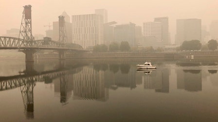 Coronavirus vs smoke inhalation during wildfires: How to differentiate between symptoms