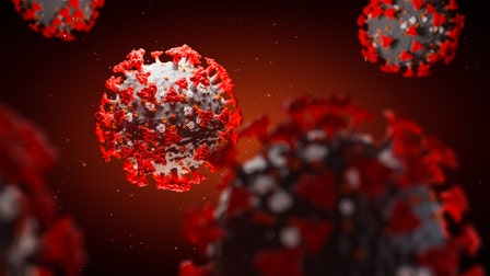 Scientists may know where coronavirus originated, study says