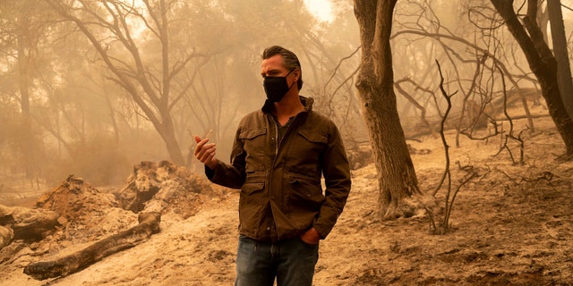 Gov. Gavin Newsom tours the North Complex Fire zone in Butte County on Friday, Sept. 11, 2020, outside of Oroville, Calif. Newsom has declared a statewide emergency due to the widespread fires and extreme weather conditions, and secured a Presidential Major Disaster Declaration to bolster the state's emergency response to the Northern California wildfires. (Paul Kitagaki Jr./The Sacramento Bee via AP, Pool)