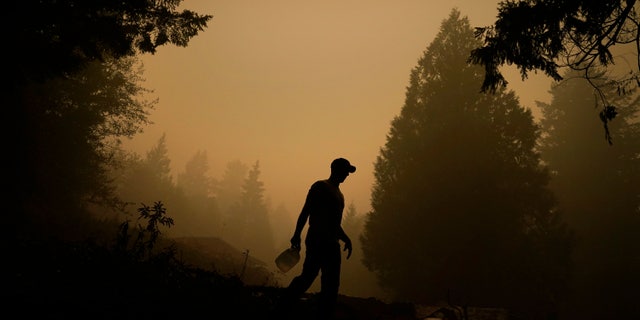 Westlake Legal Group AP20256094464924 US Marines, friends brave Oregon wildfire, help save man's home: report fox-news/us/us-regions/west/oregon fox-news/us/disasters/wildfire fox-news/us/disasters/fires fox-news/tech/topics/us-marines fox news fnc/us fnc f57946e2-4b64-5dfa-8eeb-6d1f78325b77 David Aaro article