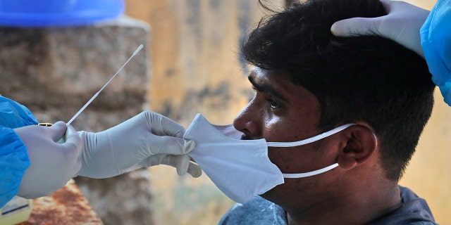 A health worker takes a nasal swab sample to test for COVID-19 in Hyderabad, India, Sunday, Sept. 13, 2020. India's coronavirus cases are now the second-highest in the world and only behind the United States. (AP Photo/Mahesh Kumar A.)