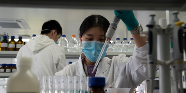 An employee of SinoVac works in a lab at a factory producing its SARS CoV-2 Vaccine for COVID-19 named CoronaVac in Beijing on Thursday, Sept. 24, 2020. (AP Photo/Ng Han Guan)