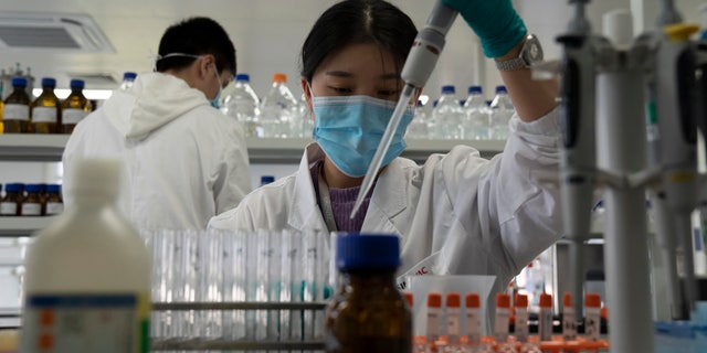 An employee of SinoVac works in a lab at a factory producing its SARS CoV-2 Vaccine for COVID-19 named CoronaVac in Beijing on Thursday, Sept. 24, 2020. (AP Photo/Ng Han Guan)