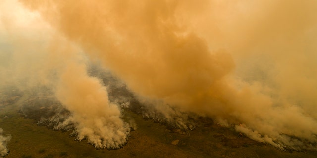 Fire consumes an area next to the Trans-Pantanal highway in the Pantanal wetlands near Pocone, Mato Grosso state, Brazil, Friday, Sept. 11, 2020. Diminished visibility from fires in the Pantanal and the neighboring Amazon forced President Jair Bolsonaro's plane to abandon a Sept. 18 landing attempt in the state of Mato Grosso. (AP Photo/Andre Penner)