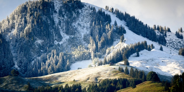 Fresh snow is visible on the slopes of the Moleson mountain near the still green pastures, on Saturday, 26 September 2020, at Moleson in Gruyere, Switzerland.