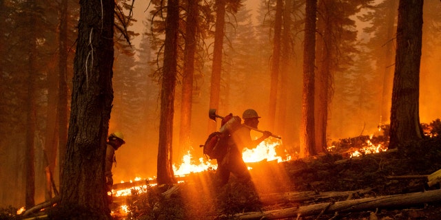 Firefighter Cody Carter battles the North Complex Fire in Plumas National Forest, Calif., on Monday, Sept. 14, 2020.